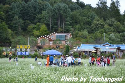 平昌・孝石文化祭り（9月）