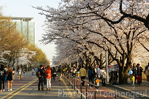 yeouido198