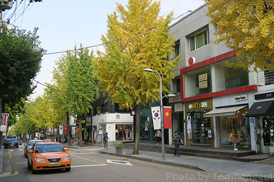 カロスキルは韓国 ソウルのおしゃれ街路樹通り 散策も買い物もカフェも 韓国 韓国旅行 トム ハングル