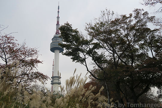 ソウルと釜山 いちどの旅行で行けるのか 距離と時間 Ktxなど交通手段から考察 韓国 韓国旅行 トム ハングル