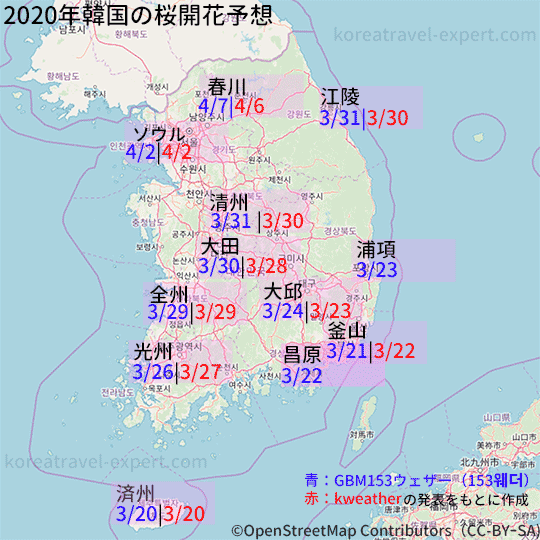 開花 予想 桜